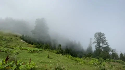 Fog in the mountains, time lapse, strong cloud flow Stock Footage 151142714