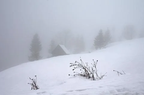Fog in the mountains in winter. Selective focus. Blurred background. Foto stock