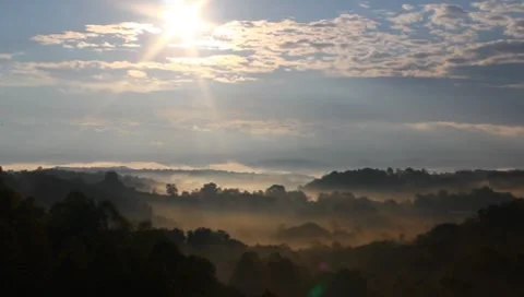 Fog in the mountains of wv Stock Footage 8761024