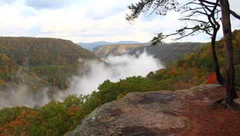 Fog in the mountains of wv Stock Footage 8852451