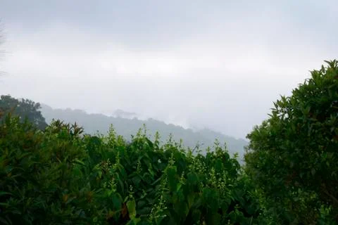 Fog on mounten Stock Photos