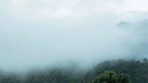Fog on the moutain Timelapse Stock Footage 80324896