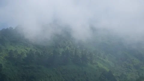 The fog moved quickly down the hillside Stock Footage 280378446