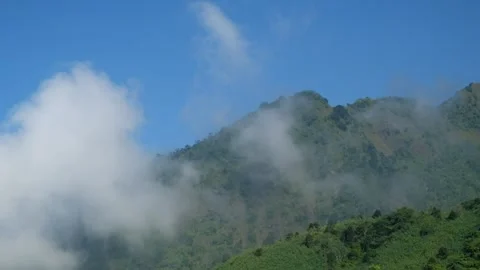 The fog moves down the hillside Stock Footage 280378395