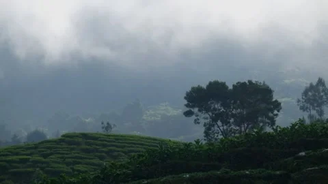 The fog moves fast on the mountain slopes  Video stock 287282245