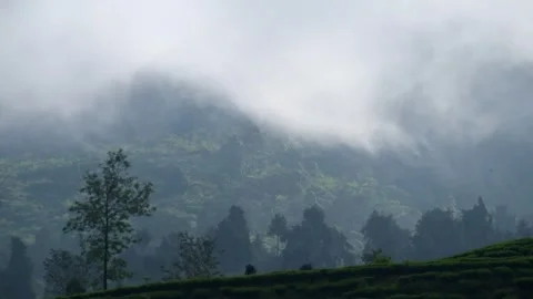 The fog moves fast on the mountain slopes 2 Stock Footage 287282249