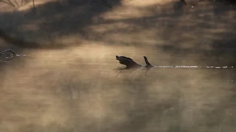 Fog moves over the surface of the lake Video stock 248908500