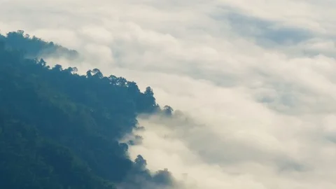 Fog moves through forest of mountain ridges, time lapse Stock Footage 91313751