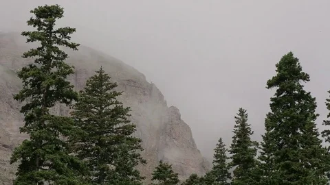 Fog Moving Across Mountain Stock Footage 79549669