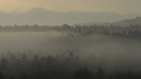 Fog is moving away Stock Footage 60664774