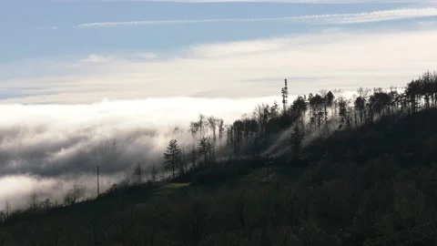 Fog moving Stock Footage 168950475