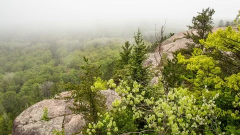 Fog moving by granite cliff Stock Footage 100138602