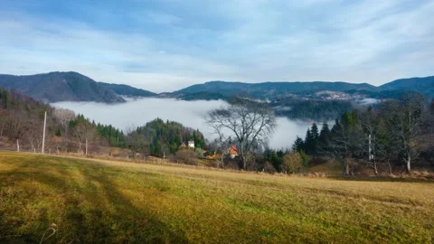 The fog is moving in the mountain valley. Cloudy morning in the mountains. Vidéo 229298706