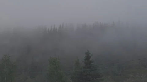 Fog moving over a forest. Stock Footage 69069828