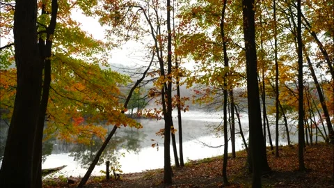 Fog moving over lake during autumn time lapse Stock Footage 171179859