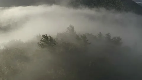 Fog moving over mountain ridge Stock Footage 238845744