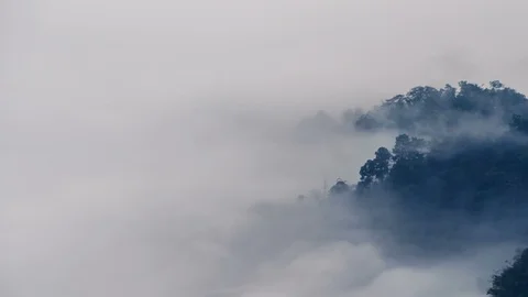 Fog moving through the tree on mountain, time lapse Stock Footage 103401751
