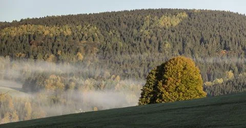 Fog moving through a valley in fall Stock Photos