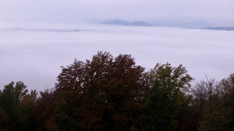 Fog in the nature Stock Footage 98457165