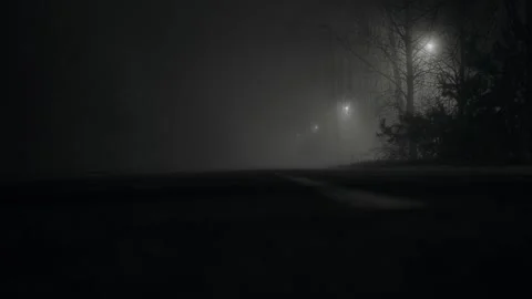 Fog at night Stock Footage 165305848