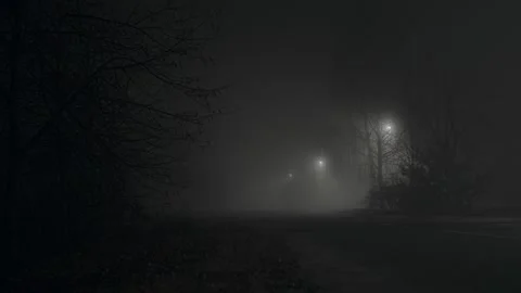 Fog at night Stock Footage 165305959