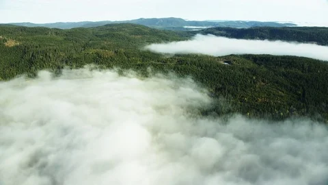 Fog in Norway Stock Footage 81417835