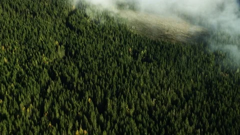 Fog in Norway Stock Footage 81417892