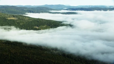 Fog in Norway 動画素材 81438035