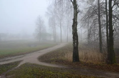 Fog in November Stock Photos
