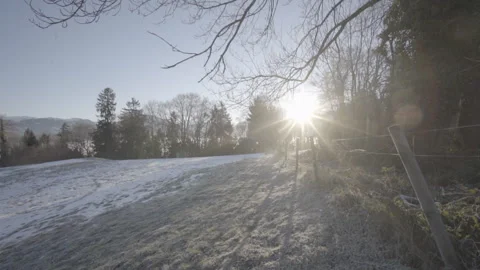Fog Or Mist In Forest Sunrise Sun Rise Morning Light Rays Spiritual Or Holy Stock Footage 264613331