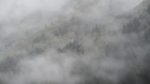 Fog over autumn trees 스톡 동영상 127907904