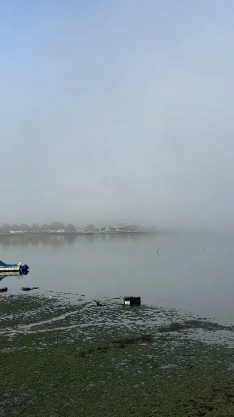 Fog over the bay Stock Footage 304446387