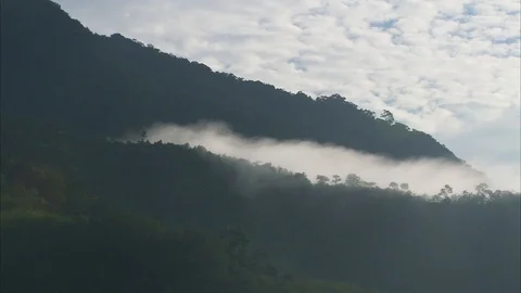 Fog over beautiful lush mountain Video stock 89071507