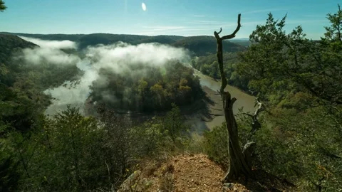 Fog over the Buffalo River Vídeo Stock 221787942