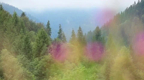 Fog over the Carpathian Mountains Stock Footage 64900681