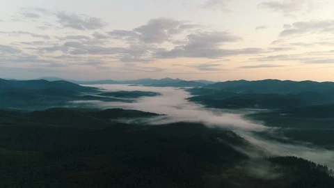 Fog over coniferous forest in the mountains at sunrise Stock Footage 118630226