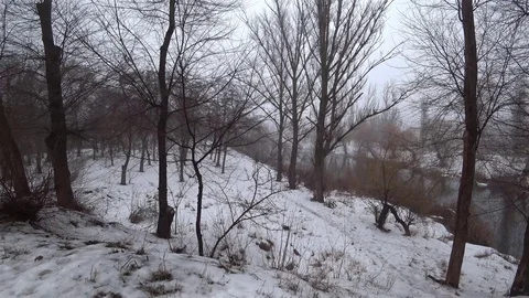 Fog over the current river in the park, snow, thaw, springtime. Stock Footage 102045780
