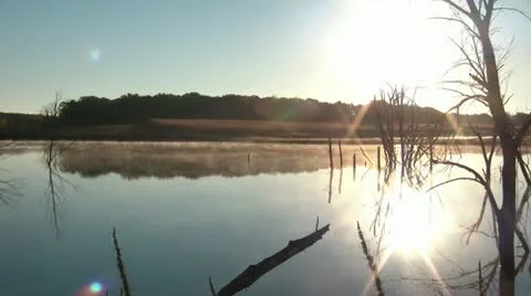 Fog over Dead Tree Lake 스톡 동영상 12580683