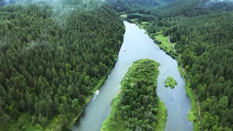 Fog over endless coniferous forest on a cloudy day Stock Footage 220015978