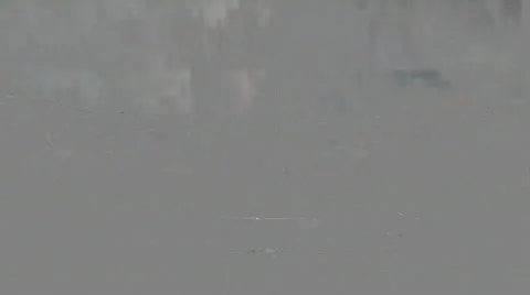 Fog over Field 3 Video stock 796810