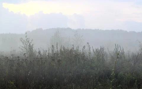 Fog over a field of evening Stock Photos