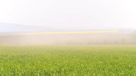 Fog over fields Foto stock