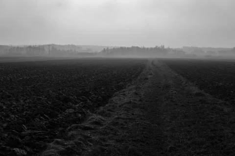 Fog over fields Foto stock