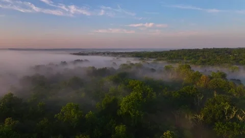 Fog over the Forest in 4K Stock Footage 247921930