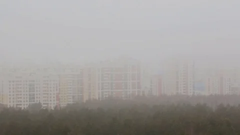 Fog over forest and city Vidéo 81789544