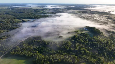 Fog over forest and fields in countryside. Rural landscape in morning fog. Stock Footage 251990528