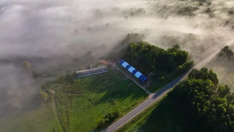 Fog over forest and fields in countryside. Rural landscape in morning fog. Stock Footage 251990588