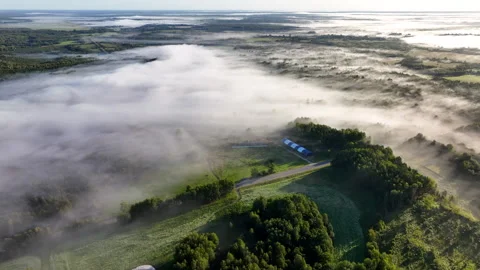 Fog over forest and fields in countryside. Rural landscape in morning fog. Stock Footage 251990822