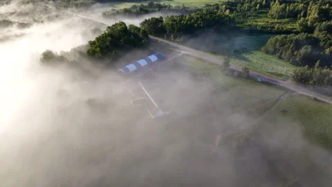 Fog over forest and fields in countryside. Rural landscape in morning fog. Stock Footage 251991150