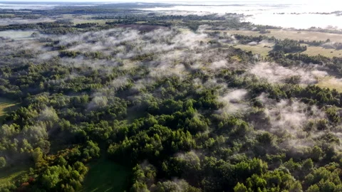 Fog over forest and fields in countryside village. Rural landscape morning fog Video stock 251992516